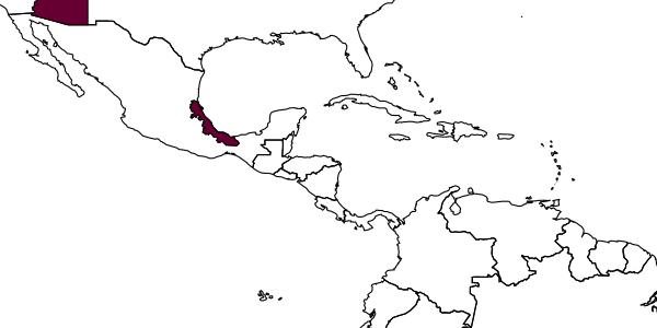 map of Eruga atrata     Townes & Townes, 1960